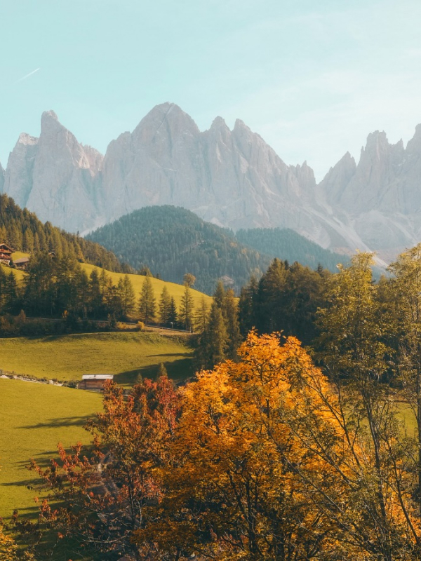 My Time in a Rehabilitation Clinic for FND