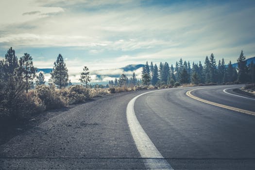 A scenic view of a winding highway through a conifer forest on a cloudy day, offering natural beauty.
