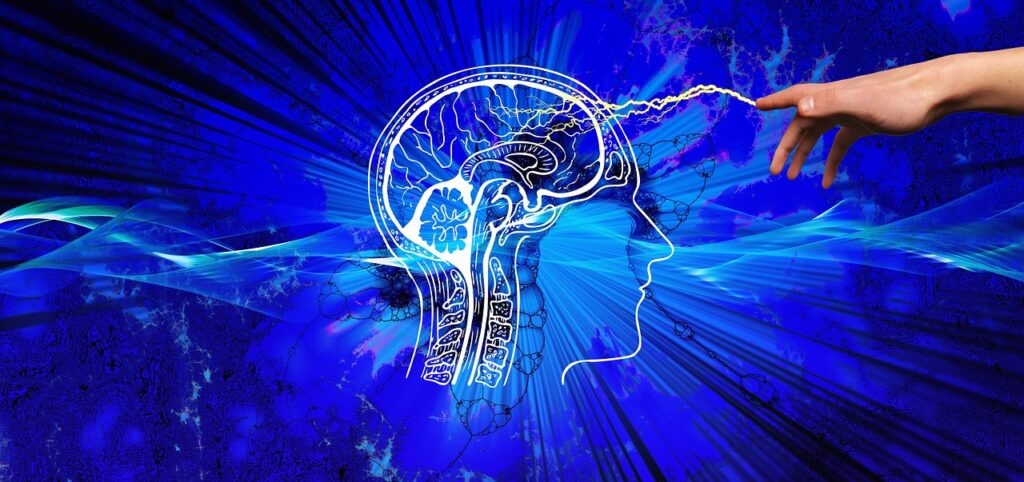 FND Aware Brain